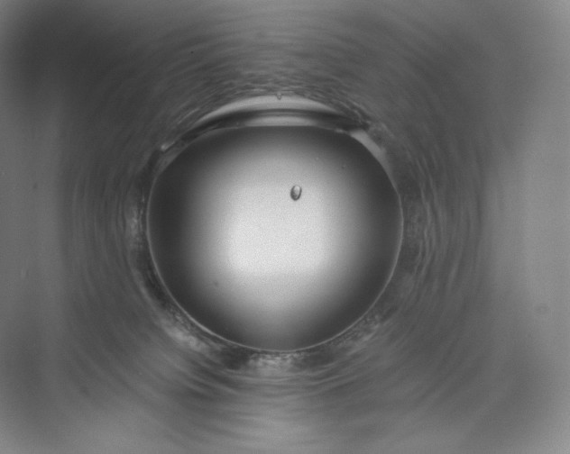 X0000073470084200608111547