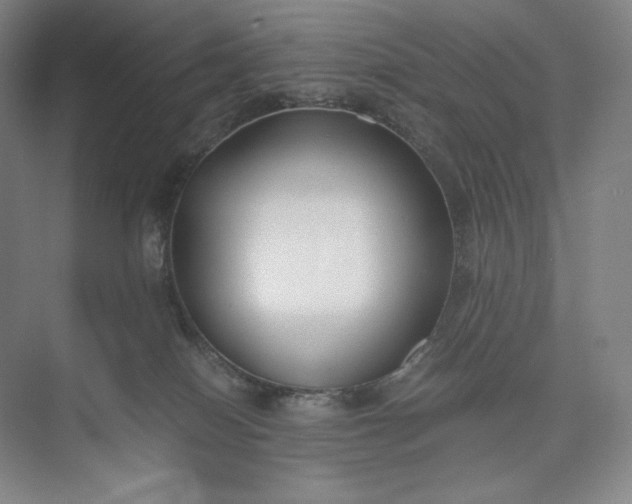 X0000073470086200608111547