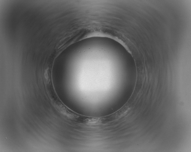 X0000073470088200608111547