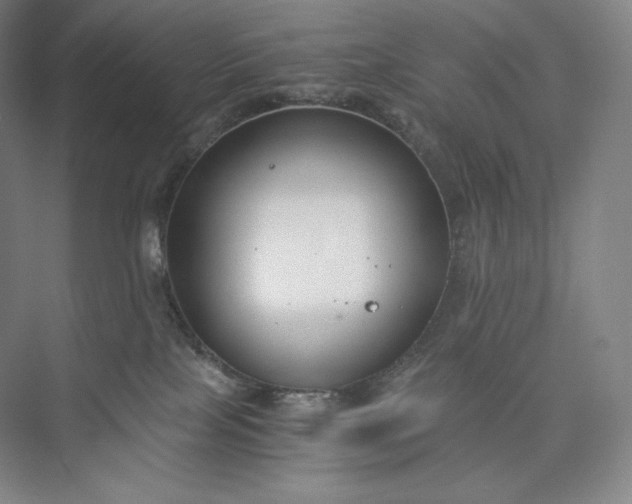 X0000073470089200608111547