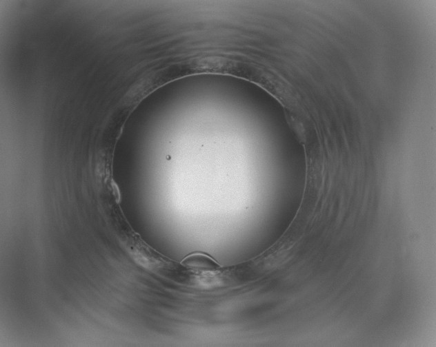 X0000073470091200608111547