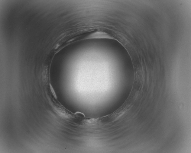 X0000073470092200608111547