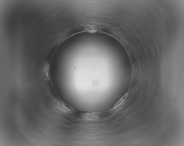 X0000073470094200608111547