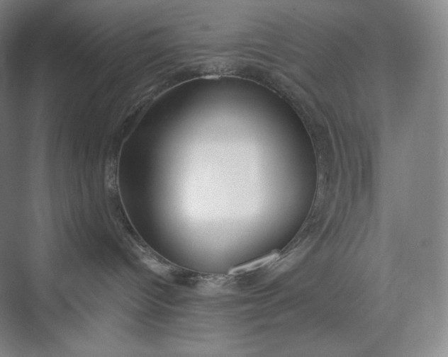 X0000073470096200608111547