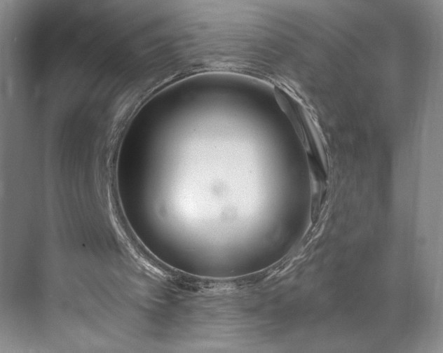 X0000073470097200608111546