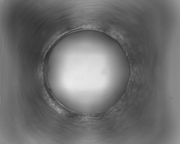 X0000073470098200608111546