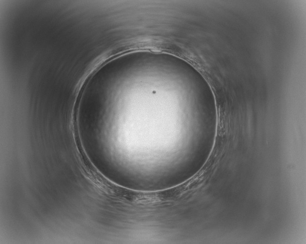 X0000073470099200608111546