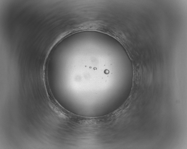 X0000073470100200608111546