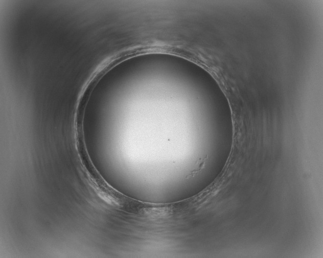 X0000073470102200608111546