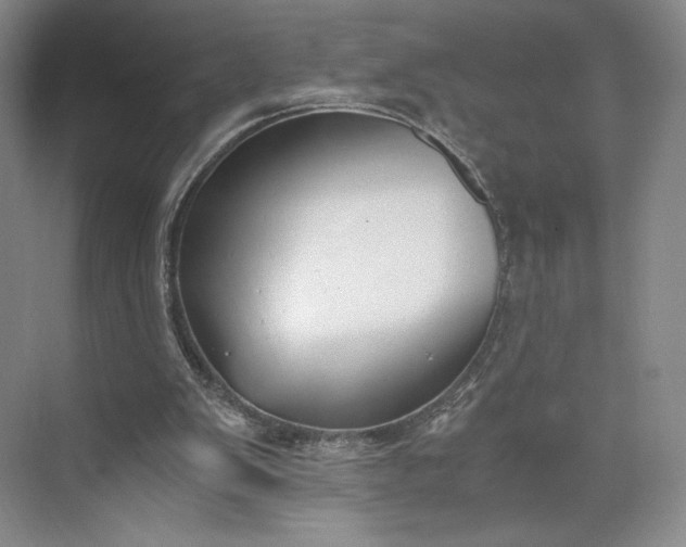 X0000073470103200608111546