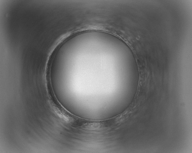 X0000073470104200608111546