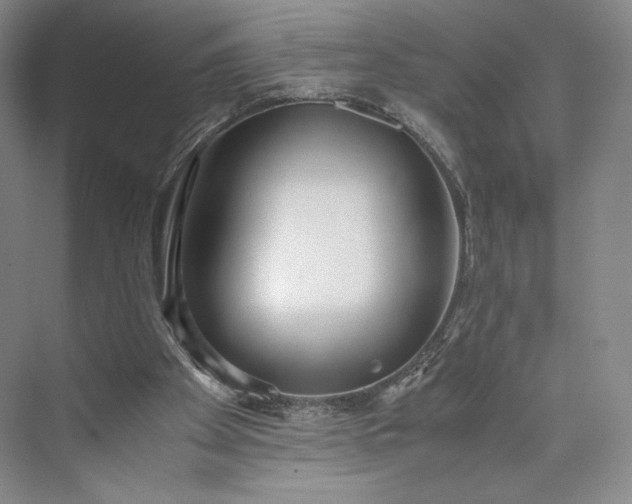 X0000073470105200608111546