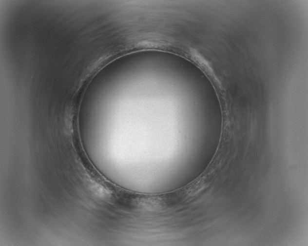 X0000073470106200608111546