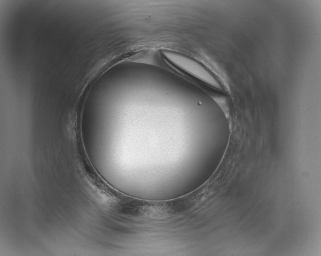 X0000073470107200608111546