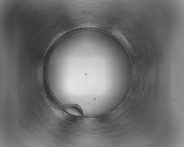 X0000073470108200608111546