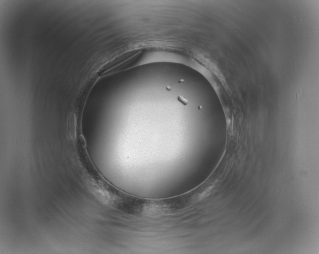 X0000073470109200608111546