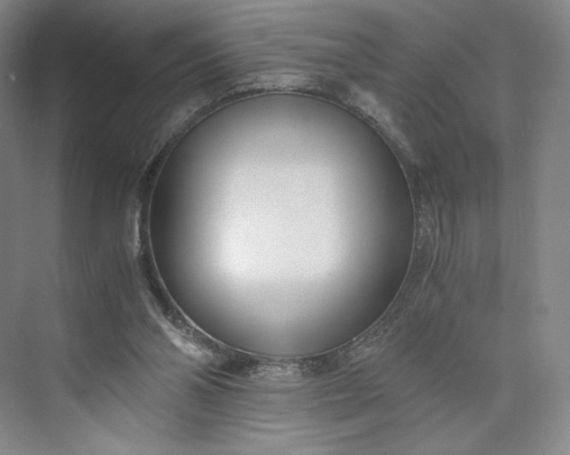 X0000073470110200608111546