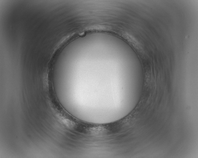 X0000073470112200608111546