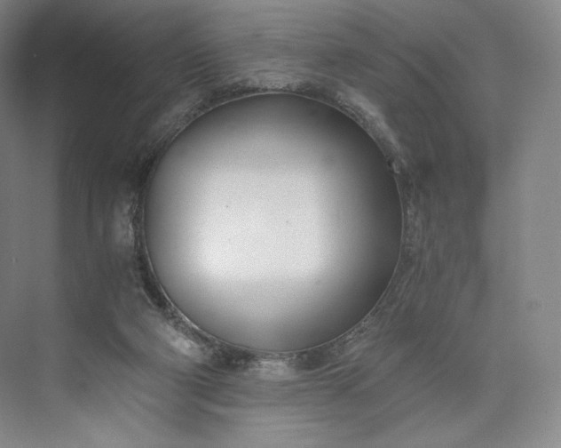 X0000073470114200608111546