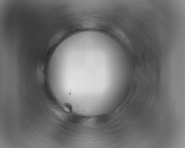 X0000073470116200608111546