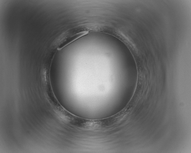 X0000073470117200608111546