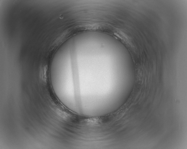 X0000073470118200608111546