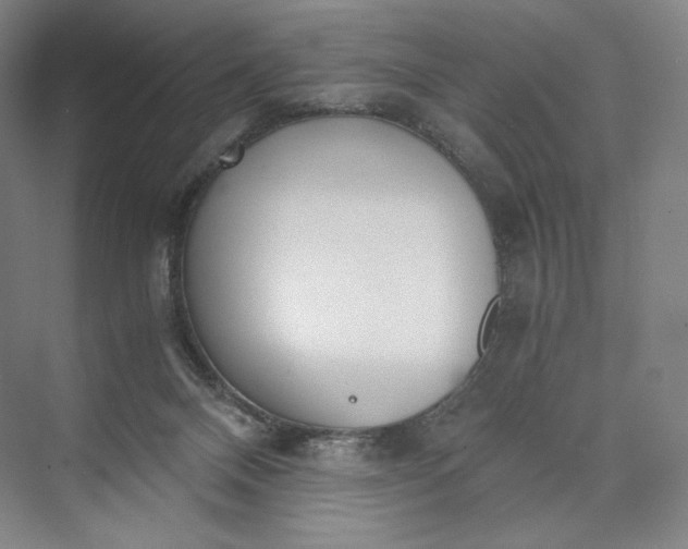 X0000073470120200608111546