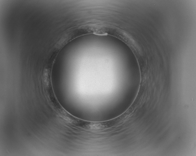 X0000073470121200608111546