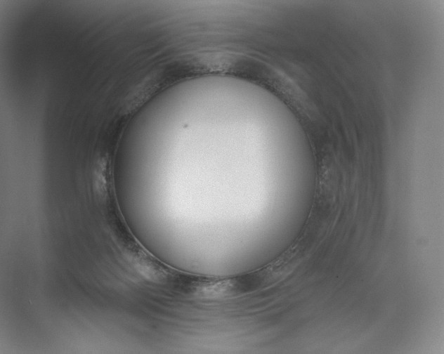 X0000073470122200608111546