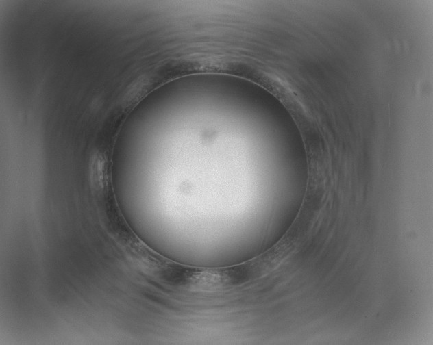 X0000073470123200608111546