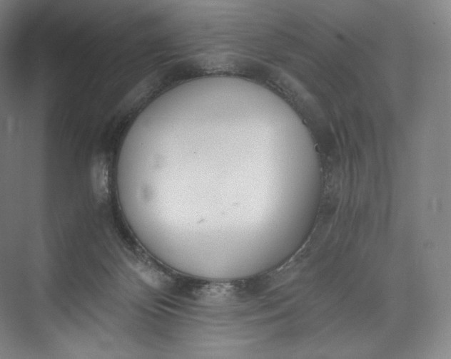 X0000073470124200608111546