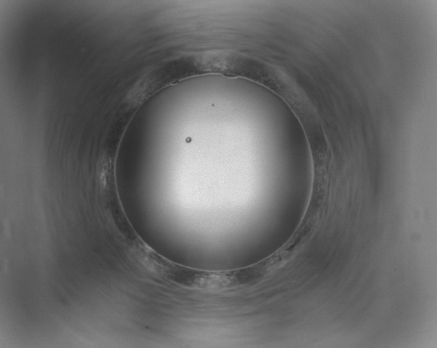 X0000073470125200608111546