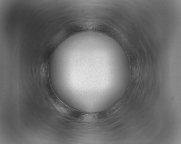 X0000073470126200608111546