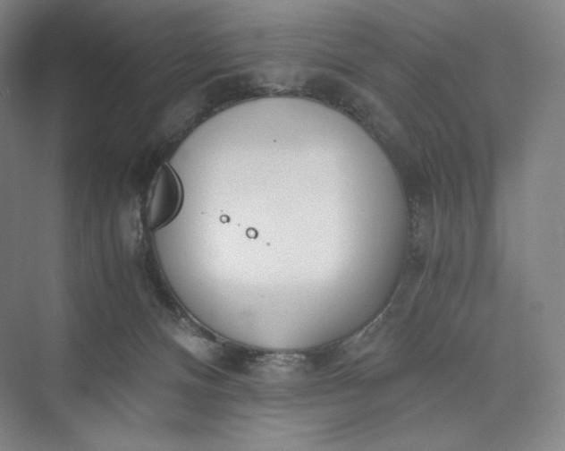 X0000073470128200608111546