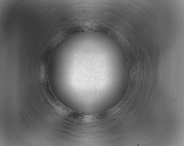 X0000073470130200608111546