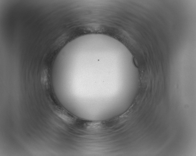 X0000073470132200608111546