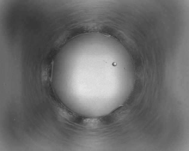 X0000073470133200608111546