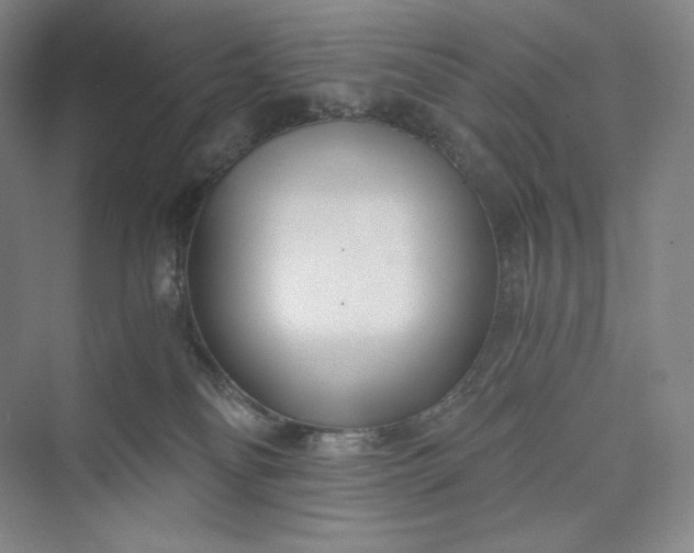 X0000073470134200608111546