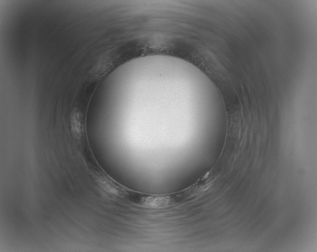 X0000073470135200608111546