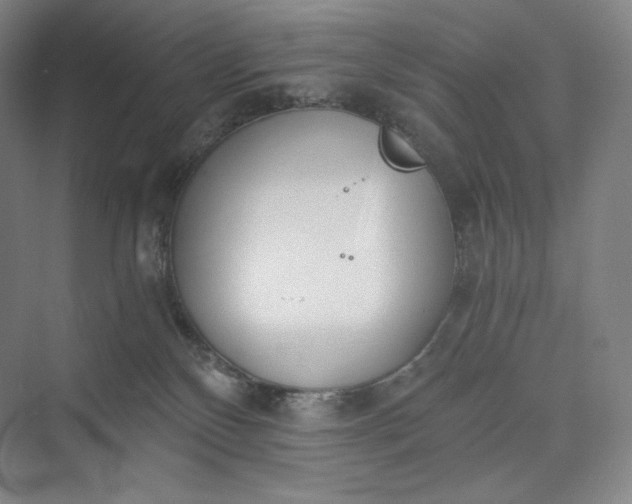 X0000073470136200608111546