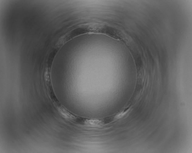 X0000073470137200608111546