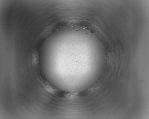 X0000073470138200608111546