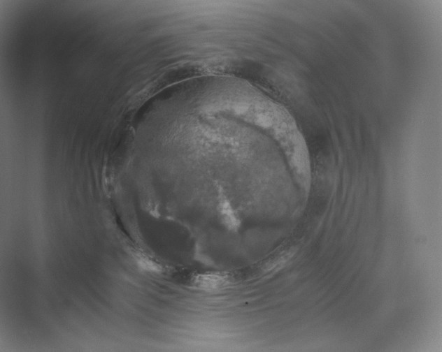 X0000073470139200608111546