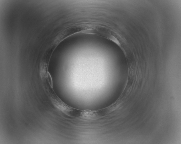 X0000073470141200608111546