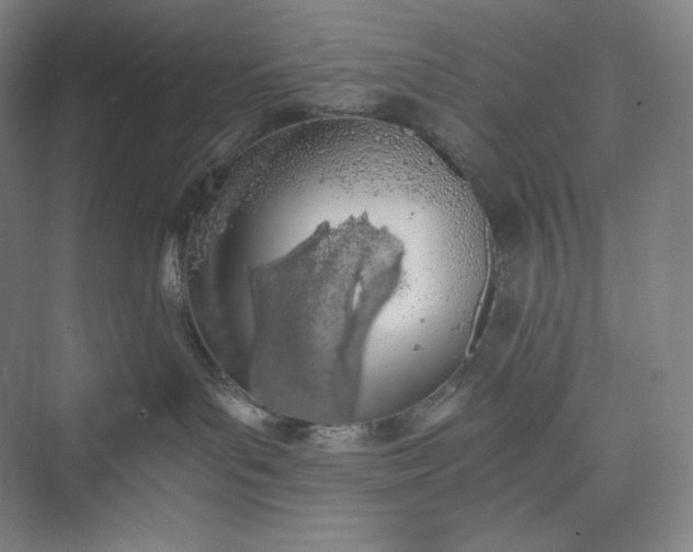 X0000073470143200608111546