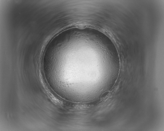 X0000073470145200608111545