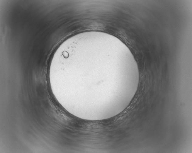 X0000073470146200608111545