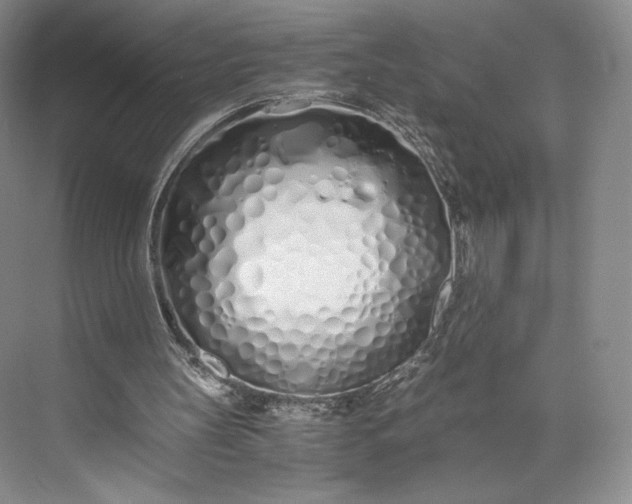 X0000073470147200608111545