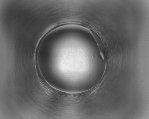 X0000073470148200608111545