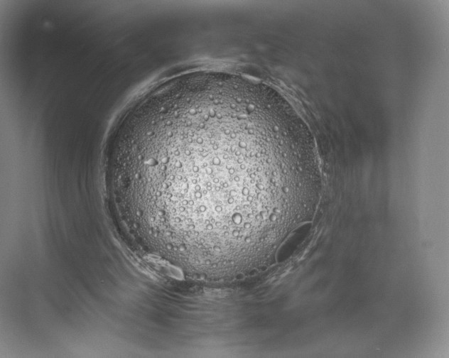 X0000073470149200608111545